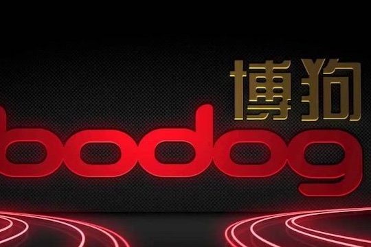 Bodog India Review