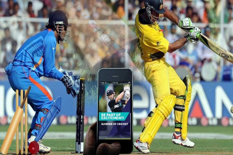 online cricket betting